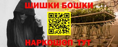 гидропоника Пугачёв