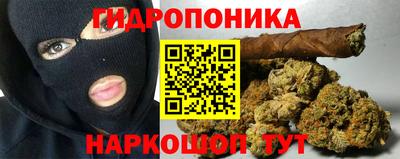 гидропоника Пугачёв