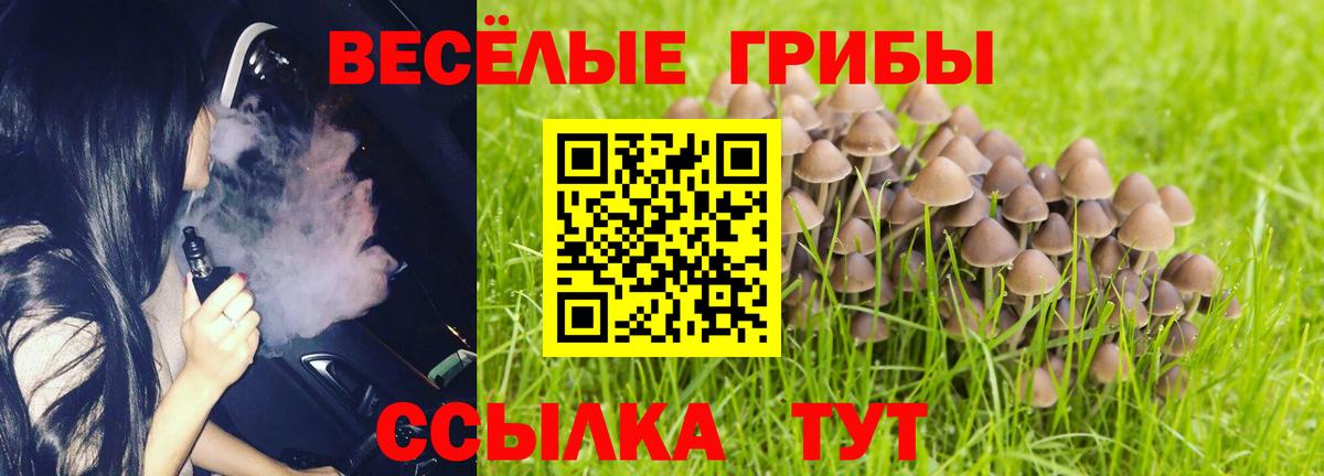 Псилоцибиновые грибы Psilocybine cubensis  Псилоцибиновые грибы Psilocybe  Вход с VPN  Соликамск 